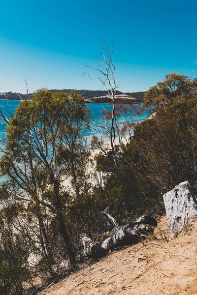 Vahşi Tazmanya Manzarası Derwent Nehri Nin Değmemiş Turkuaz Suyu Hobart — Stok fotoğraf