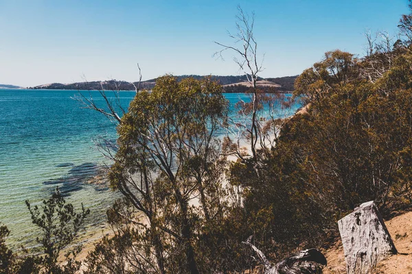 Paisaje Salvaje Tasmania Agua Turquesa Prístina Del Río Derwent Visto — Foto de Stock