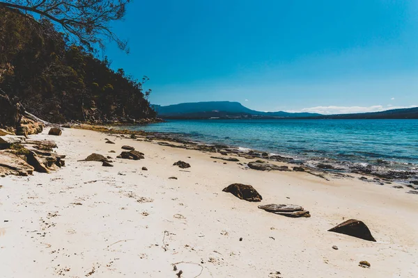 Paisaje Salvaje Tasmania Aguas Cristalinas Color Turquesa Del Río Derwent — Foto de Stock