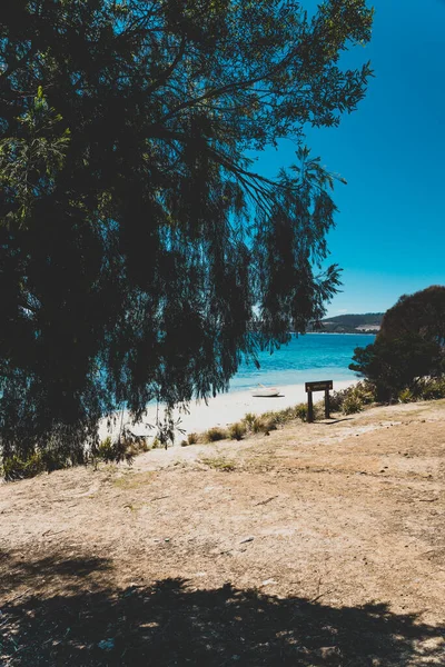 Legacy Beach Тасманія Лютого 2020 Дикий Тасманійський Пейзаж Прісна Бірюзова — стокове фото