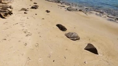 Vahşi Tazmanya manzarası ve Derwent Nehri 'nin saf turkuaz suyu Legacy Sahili' nden görüldüğü gibi.