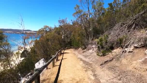 Wild Tasmanian Landscape Pristine Turquoise Water Derwent River Seen Legacy — Stock Video