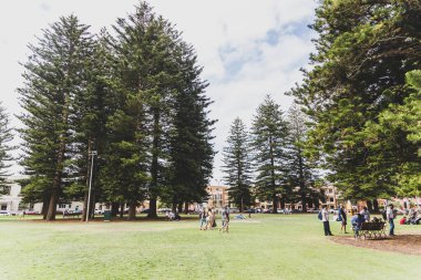 PERTH, WESTERN AUSTRALIA - December 29th, 2019: detail of public park in Fremantle, a cool and popular location among young people near Perth