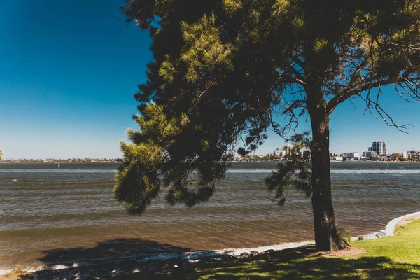 Perth Australia Occidentale Dicembre 2019 Veduta Dello Skyline Della Costa — Foto Stock