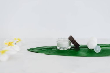 Sert kimyasallar içermeyen vejetaryen doğal güzellik, yüz kremi ve tropik yeşil yapraklı tek yapraklı vücut losyonu.