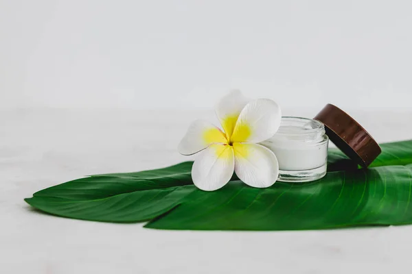 vegan natural beauty without harsh chemicals concept, pot of face cream on tropical green leaf with monoi flowers