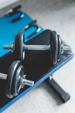 Spor salonu ve online fitness konsepti, spor salonundaki dambıllar ve yoga minderindeki şınav kulpları ile evden spor salonu.