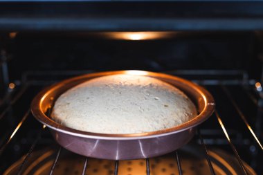 sağlıklı bitkisel yemek tarifleri konsepti, keten tohumlu vegan muz ekmeği tarçın ve fırında akçaağaç şurubu pişirme