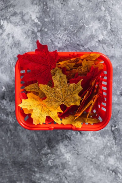 Autumn Products Seasonal Shopping Concept Shopping Basket Autumn Leaves Green — Stock Photo, Image