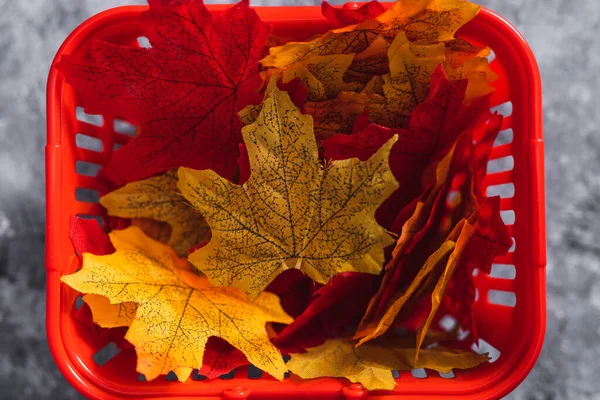 Autumn Products Seasonal Shopping Concept Shopping Basket Autumn Leaves Green — Stock Photo, Image