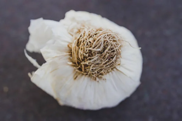 healthy plant-based ingredients, close up of garlic on kitchen countertop