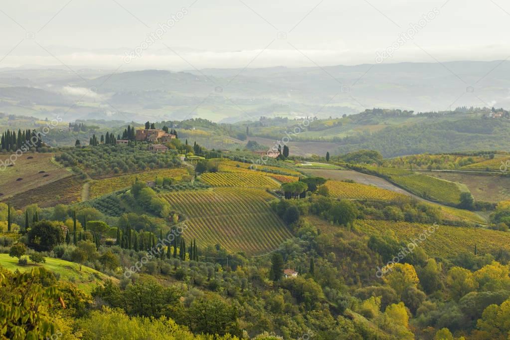 panoramic view to Tuscany valley with vineyard fields