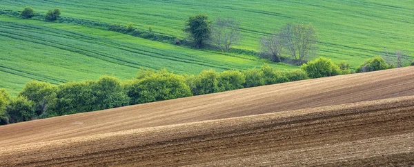 Paisaje terrestre de primavera en los campos —  Fotos de Stock