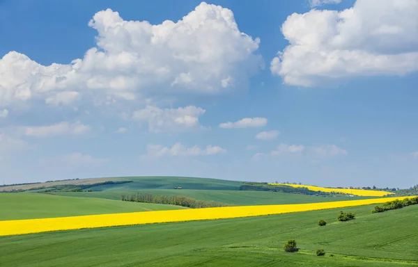 Beaux nuages blancs au-dessus des champs colorés du printemps — Photo