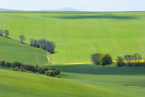 Valle verde de los campos en el día de primavera — Foto de Stock