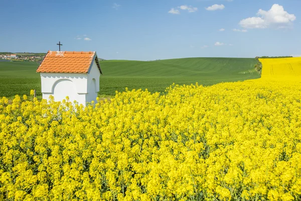 Paysage printanier avec champs colorés et petite chapelle — Photo