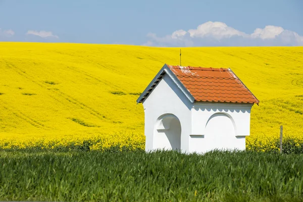 Chapelle blanche dans les champs colorés — Photo