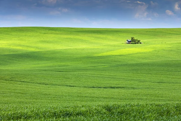 Блакитне небо над зеленим полем з тінями і маленьким фермерським будинком — стокове фото