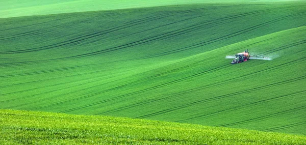 Na białym tle ciągnika w zielone pola — Zdjęcie stockowe
