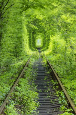 Yeşil tünel şekilde demiryolu