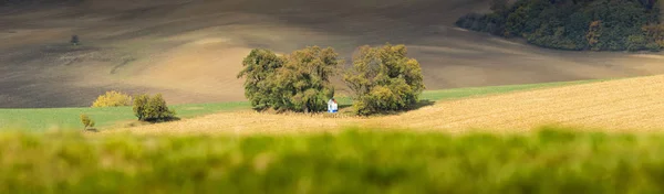 Goldener Herbsttag auf den Feldern in Mähren — Stockfoto