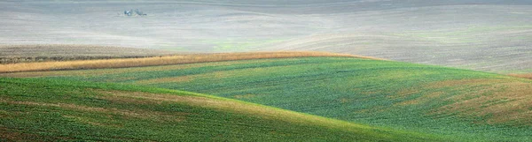 Verdi colline e campi in nebbia mattina — Foto Stock