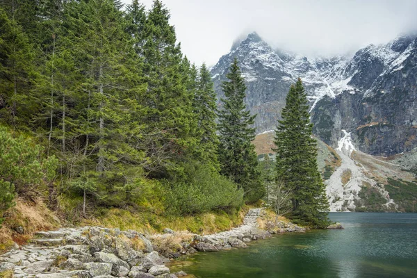 lake shore ve çam ormanı tarafından yolu