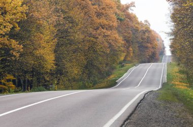Yol sonbahar orman