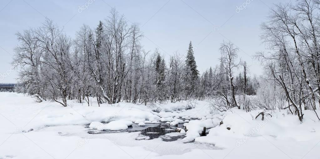 panorama with winter forest and river creek