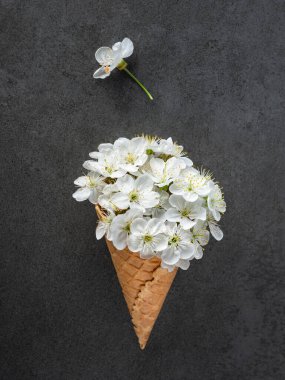 Beyaz kiraz çiçeklerine tepeden bakıldığında waffle konisine dönüşür. Koyu arkaplanda dikey çerçevede uçan bir taç yaprağı bulunur.