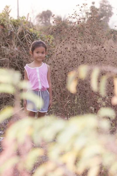 Retrato tailandês menina na grama seca — Fotografia de Stock