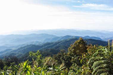 sabah görünümünden dağ, pha daeng Milli Parkı chiangmai