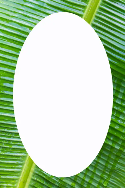 Picture frame form Banana leaf — Stock Photo, Image