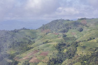 Bahçe Manzaralı form mon uzun, chiangmai Tayland ile