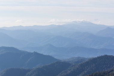 sabah görünümünden dağ, pha daeng Milli Parkı chiangmai