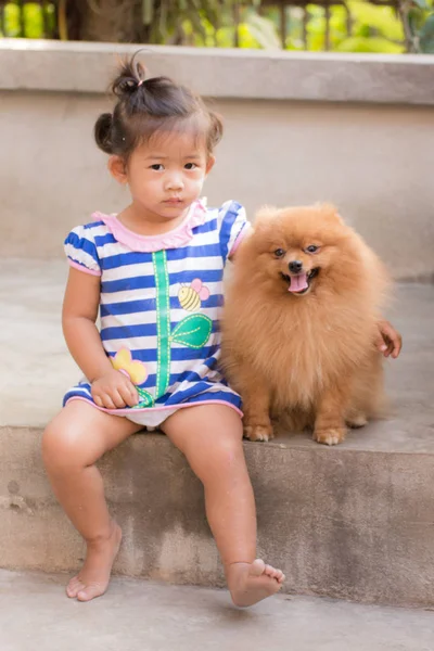 Tailandês menina com pomeranian — Fotografia de Stock