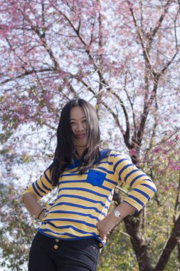 Vahşi Himalaya kiraz, portre rimlight ile güzel Taylandlı kadın