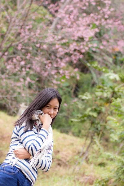 Mulher tailandesa bonita com cereja selvagem do Himalaia, rimlig retrato — Fotografia de Stock