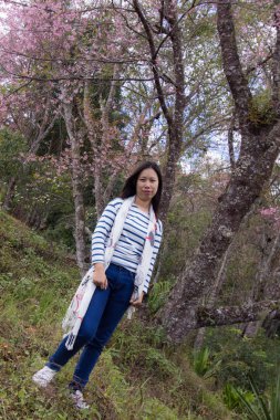 Güzel Taylandlı kadın ile yabani Himalaya kiraz, portre 