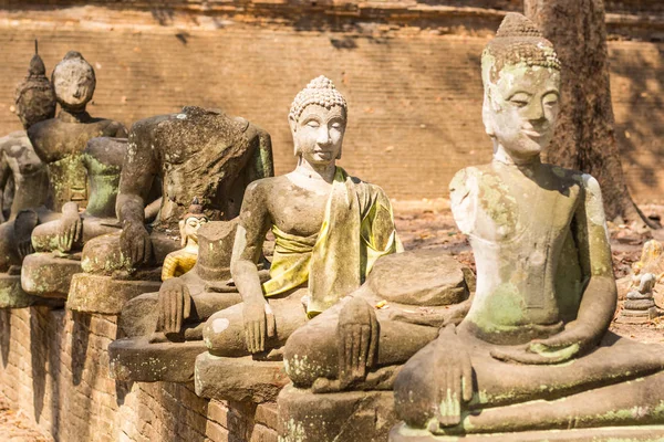 Stará socha Buddhy ve Wat Umong, Chiang Mai, Thajsko — Stock fotografie