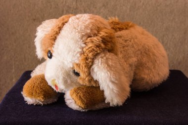 Natürmort sevimli köpek kahverengi bebek