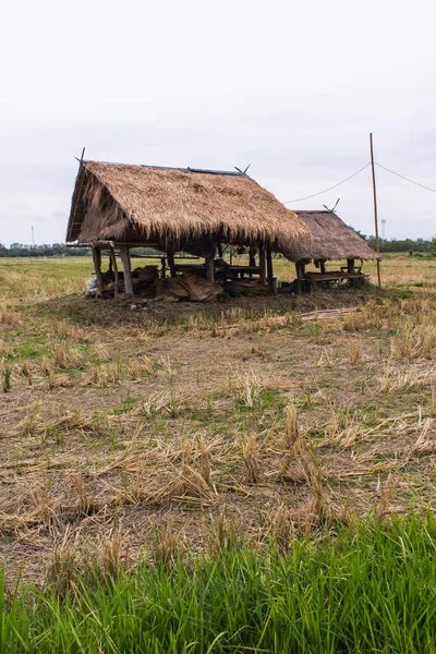 Vecchio cottage tailandese in campo — Foto Stock