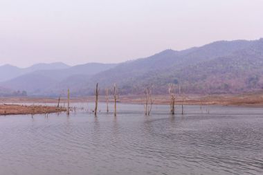 Mawngad Barajı, Chiangmai Tayland kuru ağaç