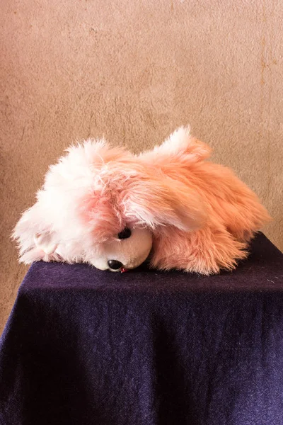 Stillleben niedlich rosa Hund braune Puppe — Stockfoto