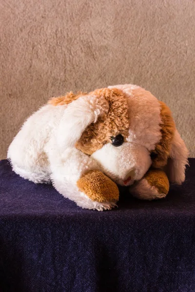 Martwa natura pies brązowy lalka — Zdjęcie stockowe