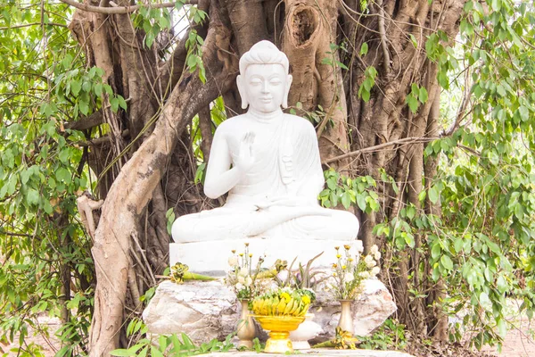 泰国白佛雕像 — 图库照片