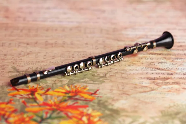 music woodwind instrument - miniature clarinet on a beautiful background