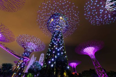 Singapur - 22 Kasım 2016: Supertrees Gardens Bay tarafından.