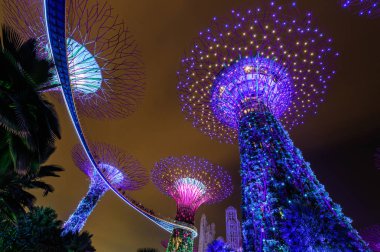 Singapur - 22 Kasım 2016: Supertrees Gardens Bay tarafından.