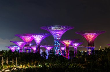 Singapur - 22 Kasım 2016: Supertrees Gardens Bay tarafından.